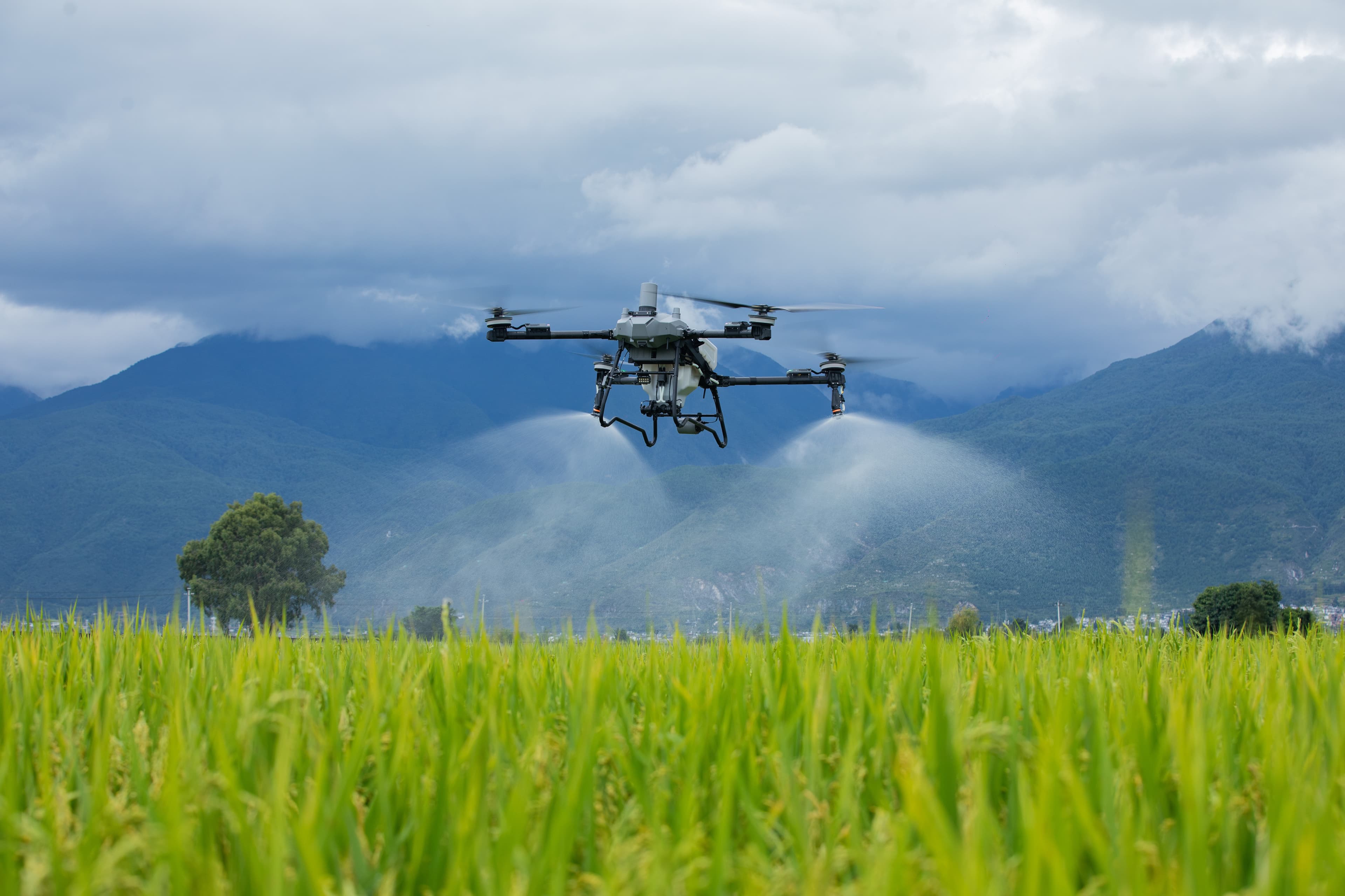 DRON T70P MARCA DJI